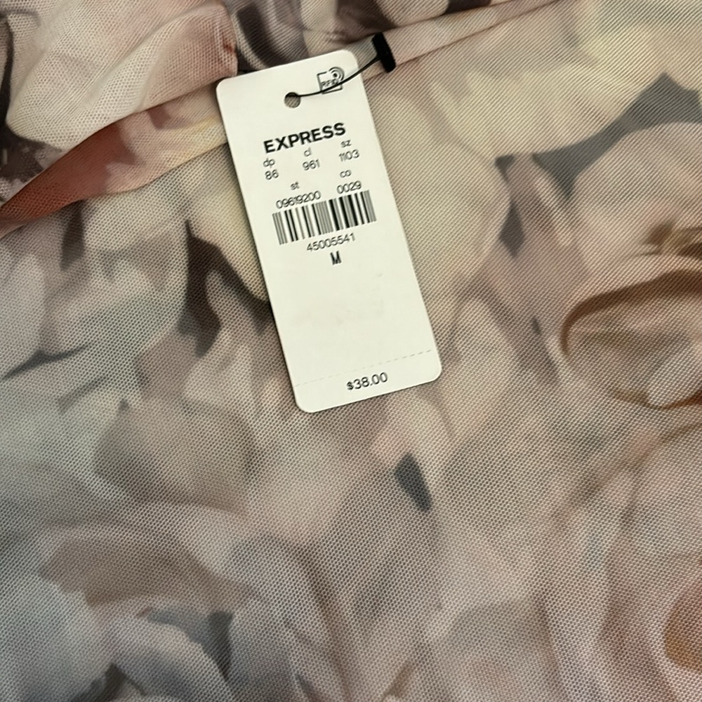 NWT Express sheer bodysuit- M - Picture 3 of 6
